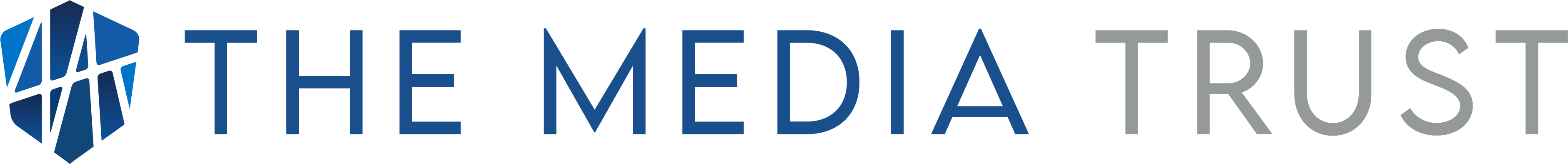 The Media Trust logo